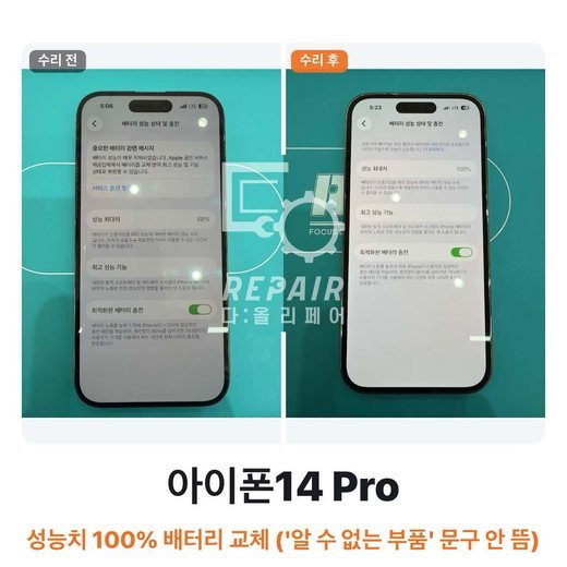 르네9082 님이 올린 사진