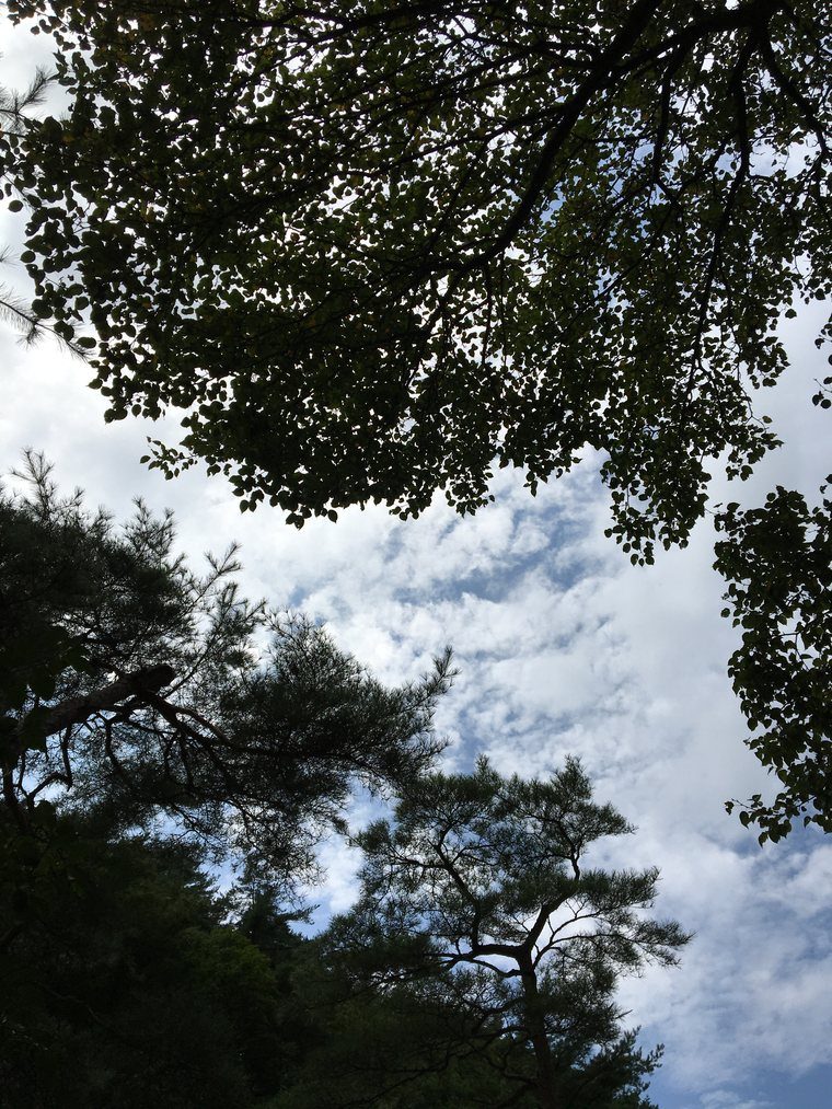아이폰 6s로 찍은 역광의 하늘 — 보정 없음